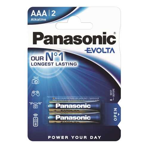 Батарейка Panasonic Evolta LR03EGE/2BP 2 шт в Залог успеха